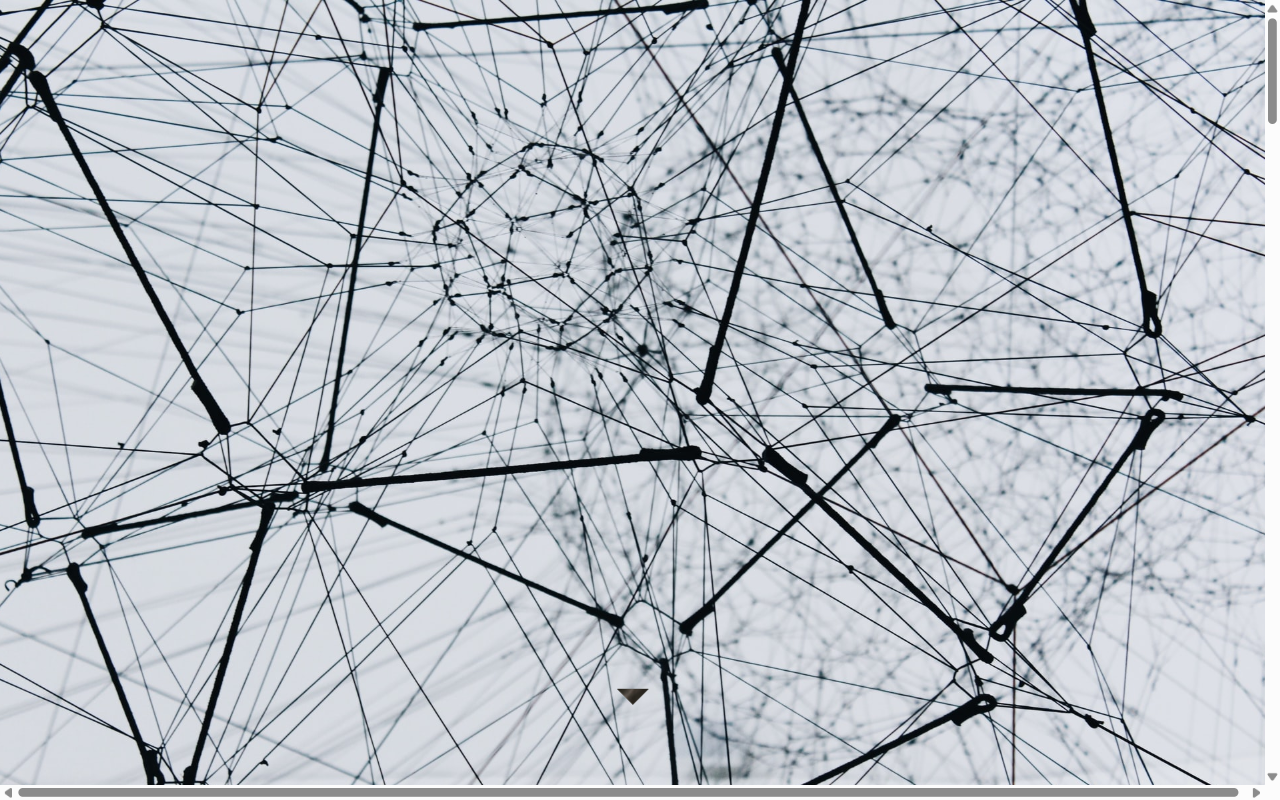Foundations of Information