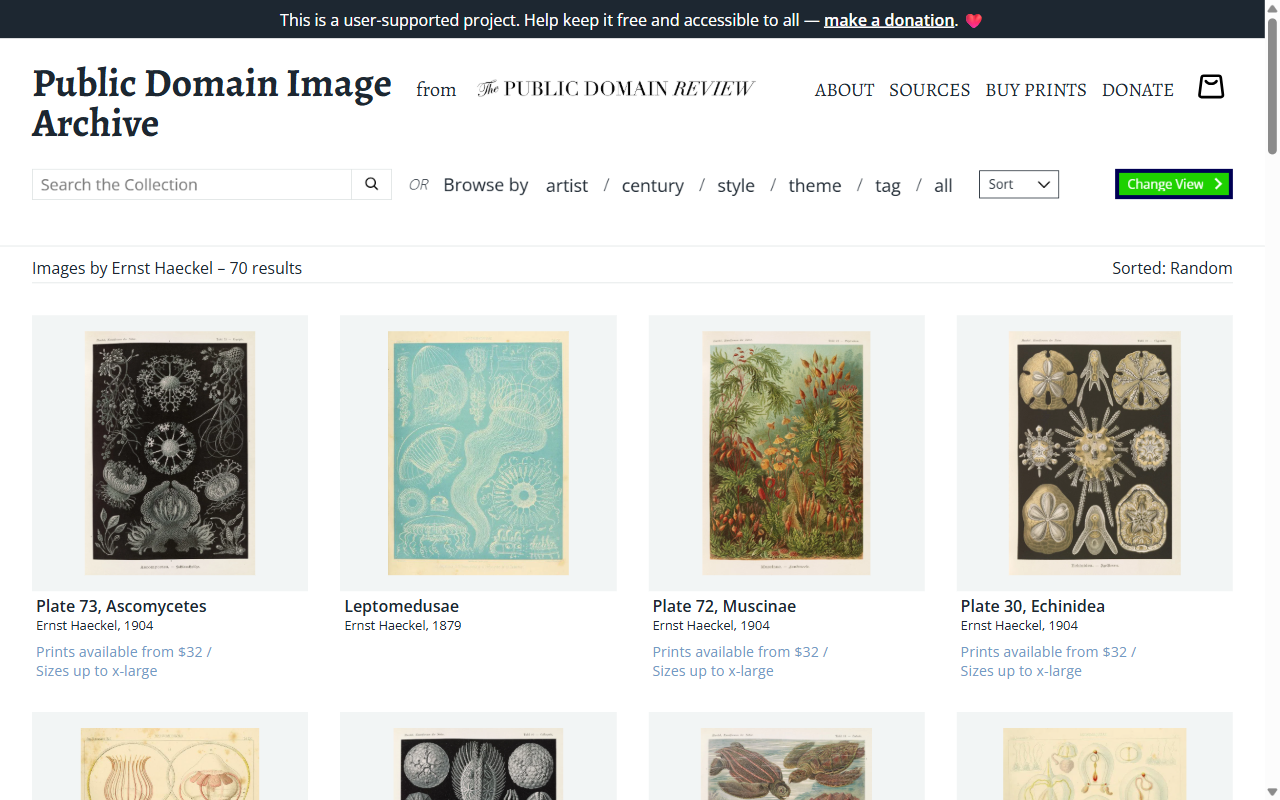 Public Domain Image Archive: Ernst Haeckel