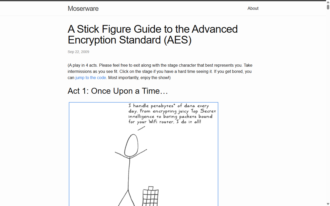 A Stick Figure Guide to the Advanced Encryption Standard (AES)