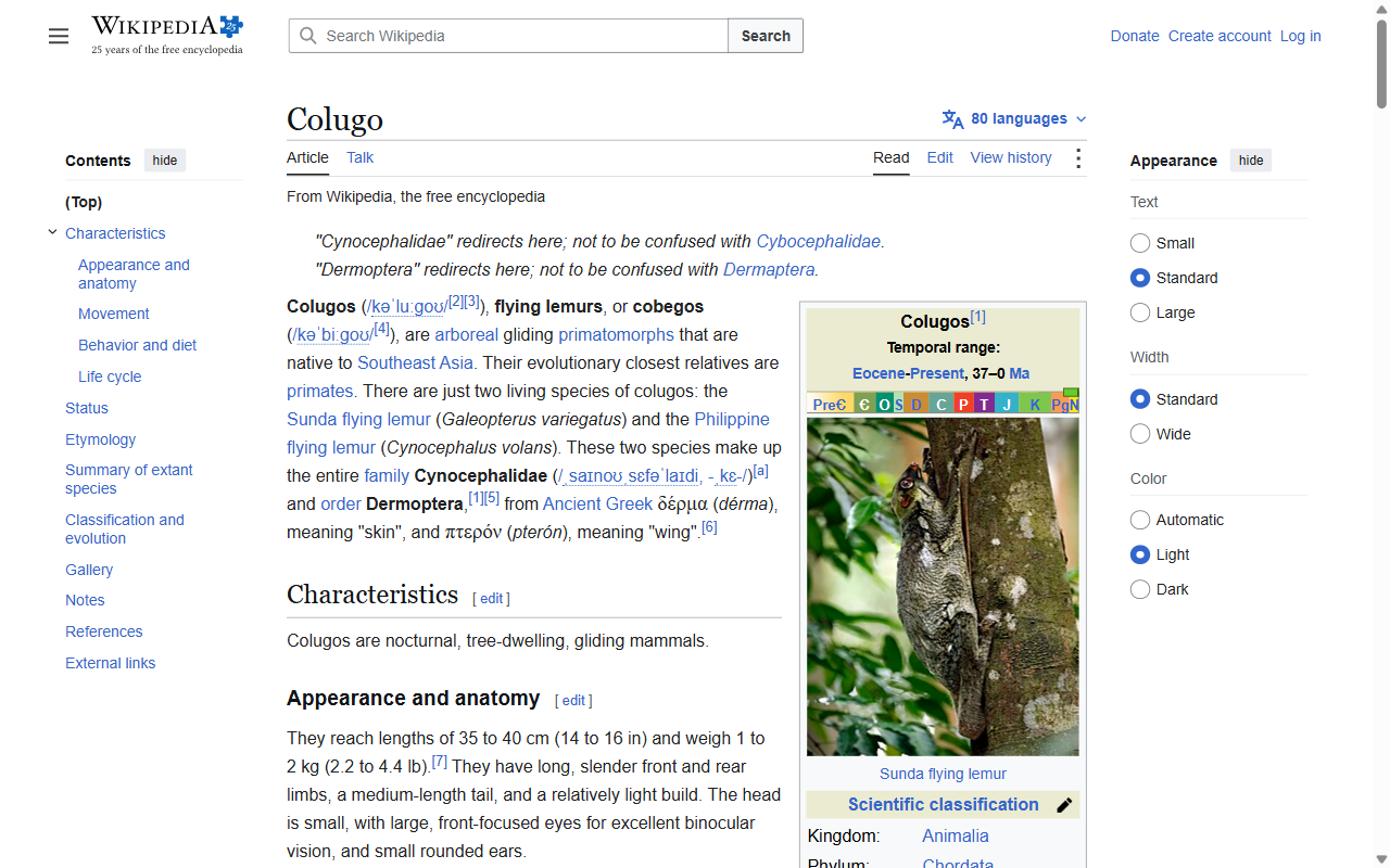 Colugo