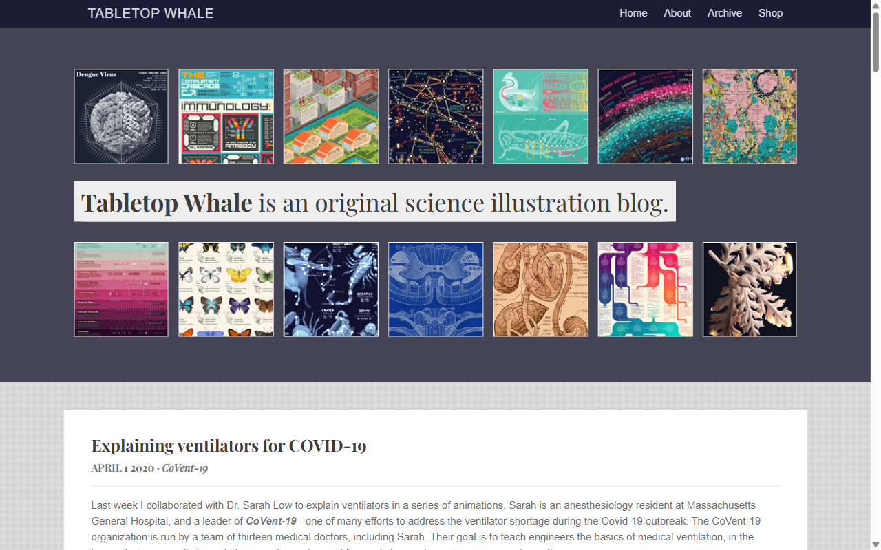 Tabletop Whale